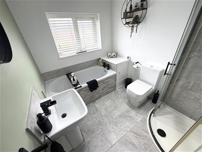 Picture 20